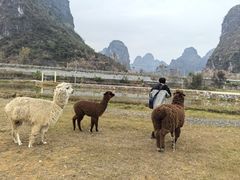 -大新明仕山庄