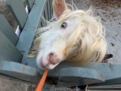 -南太湖山庄·四季轩&国风堂中餐厅