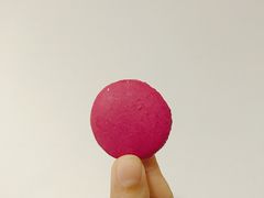-PAUL LAFAYET 法式甜品(国金中心商场店)
