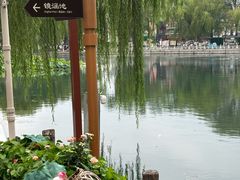 -百花洲