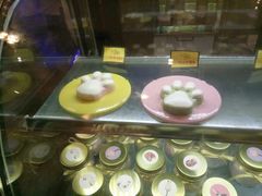 -猫咪博物馆(顶澳仔猫街店)