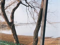-金银湖国家城市湿地公园