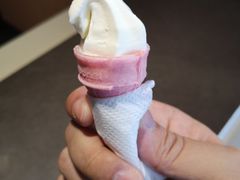 -麦当劳(塘厦蛟坪路DT店)