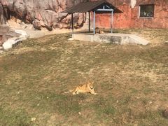 -无锡动物园·太湖欢乐园