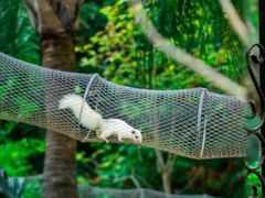 -梅州天地人花园酒店(梅县人民广场店)