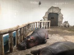 -新疆天山野生动物园