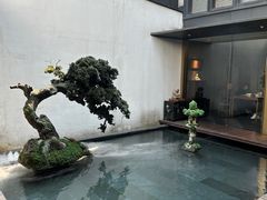 -觀芷隐轩