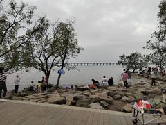 -宝安西湾红树林湿地公园