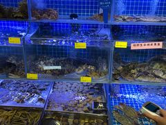 -77号渔船·蒸海鲜青岛菜(积米崖店)