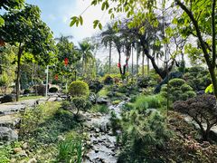 -东莞植物园
