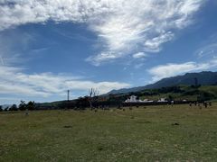 -新疆那拉提国家旅游度假区