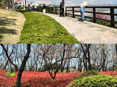 景点-燕儿岛山公园