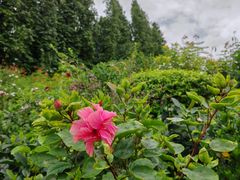 -新加坡总统府