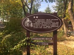 -大兴滨河森林公园