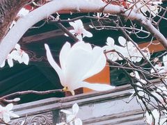 -龙华寺
