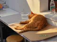 -西园寺素食(西园弄戒幢律寺店)
