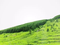 -云座·时光·观景咖啡厅(五爷庙店)