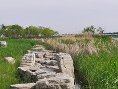-绿堤公园