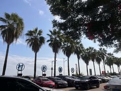 -大湾区中央湿地公园-十九涌