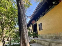 -西园寺素食(西园弄戒幢律寺店)