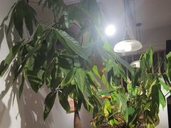 -米国现煲煲仔饭(塔子湖店)