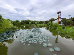 -丝绸小镇荻港古村