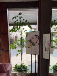 -香秀空间科技抗衰·美容中心