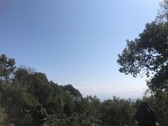 -南山植物园