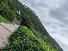 -芽庄珍珠岛游乐园