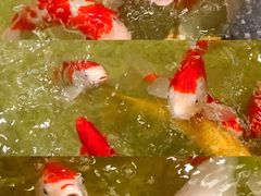 -古莲·影院足道·按摩SPA(水上温泉店)