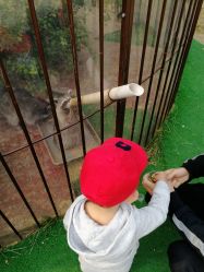 -萌宠亲子动物乐园(槐房万达店)