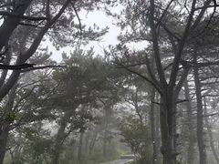 -白鹿洞书院