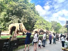 -野象谷景区
