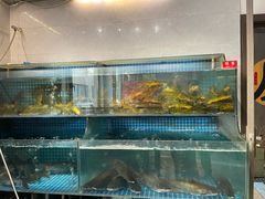 -大鹅岛灶台鱼·铁锅炖(水库路店)