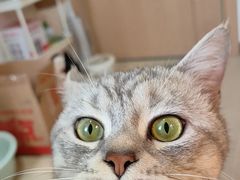-联合动物医院(光谷诊疗中心)