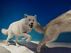 -国家自然博物馆