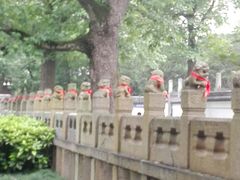 -汇龙潭
