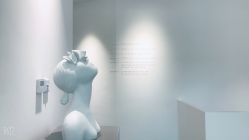 -紫御国际抗衰ZOE ANTI AGING