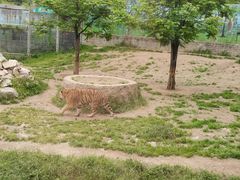 -西安秦岭野生动物园