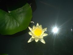 -镇江市南山风景名胜区竹林景区