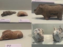 -安阳博物馆