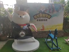 -柴犬高等学院·狗咖·柴犬售卖·宠物训练