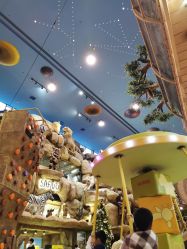 -卡通尼·Safari非洲探索乐园·生日会(金桥国际商业广场店)