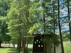 -南宁良凤江国家森林公园