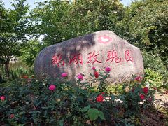-鹅湖玫瑰文化园