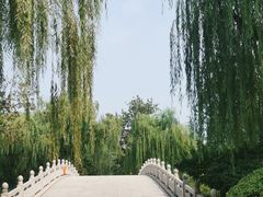 -济南大明湖景区