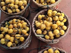 -临水阁农家乐饭店