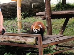 -合肥野生动物园