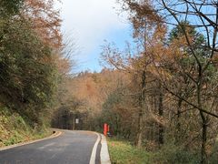 -山王坪喀斯特国家生态公园