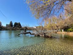 -黑龙潭公园